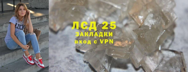 ПСИЛОЦИБИНОВЫЕ ГРИБЫ Абаза