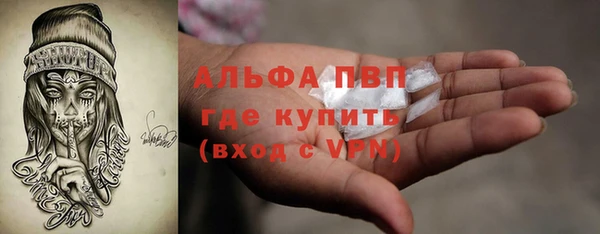 ПСИЛОЦИБИНОВЫЕ ГРИБЫ Абаза