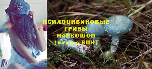 мяу мяу мука Абдулино