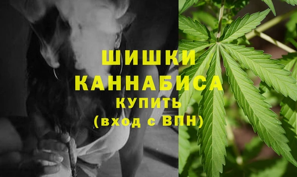 ПСИЛОЦИБИНОВЫЕ ГРИБЫ Абаза